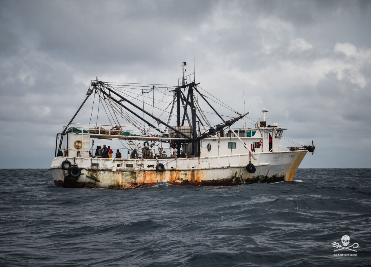 Erneut Fangschiff In Gabun Festgesetzt Operation Albacore